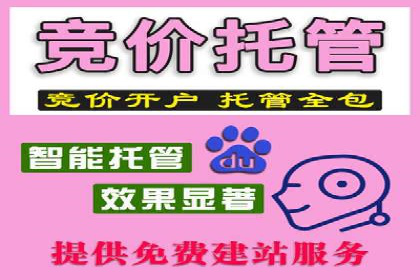提升SEM投放转化率的实战案例分析